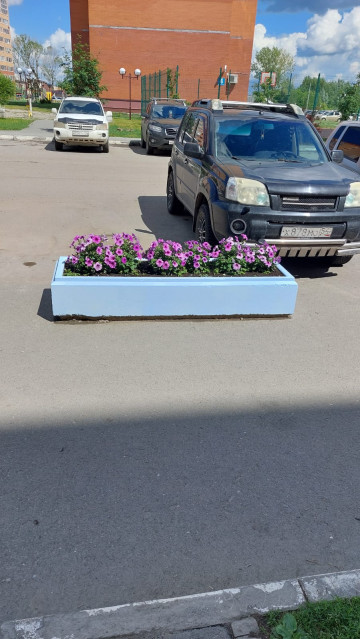 Сегодня были покрашены вазоны